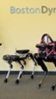 Boston Dynamics presenta un nuevo robot capaz de llevar refrescos, limpiar y subir escaleras