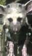 La historia de nunca acabar: 'The Last Guardian' se retrasa hasta diciembre