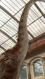 Google revive a los dinosaurios con su guía de realidad virtual para museos