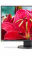 NEC EA245WMi, nuevo monitor casi sin marcos ideal para disposiciones multimonitor y diseño