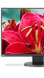 NEC EA245WMi, nuevo monitor casi sin marcos ideal para disposiciones multimonitor y diseño