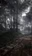 Estas imágenes y vídeo en 4K de 'Battlefield 1' parecen casi reales