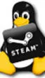 Confirmado: Steam y Source llegarán a Linux