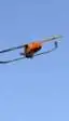 EE. UU. prueba el despliegue de enjambres de microdrones desde cazas