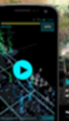Project Niantic de Google es en realidad un videojuego: Ingress