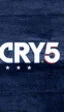 Montana y el condado de Hope son el escenario de 'Far Cry 5' en estos avances