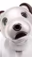 Sony recupera su perro robot Aibo, ahora con inteligencia artificial y encanto extra