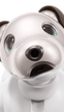 Sony recupera su perro robot Aibo, ahora con inteligencia artificial y encanto extra