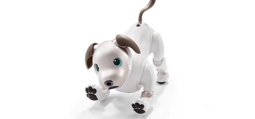 Sony recupera su perro robot Aibo, ahora con inteligencia artificial y encanto extra