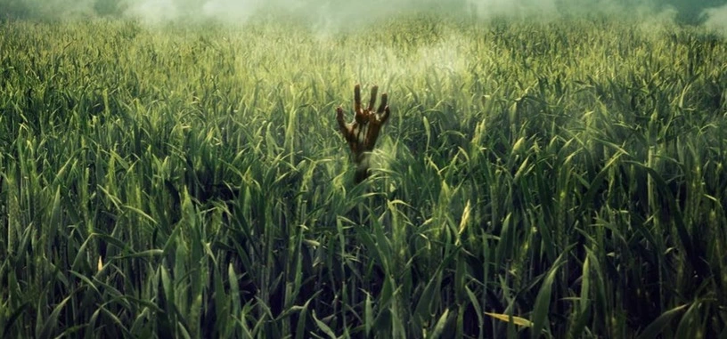 Netflix estrenará la adaptación de la novela corta de Stephen King y Joe Hill 'In the Tall Grass'