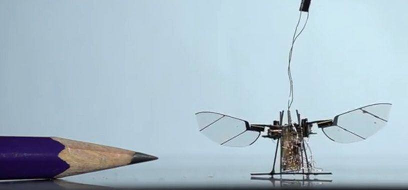 RoboFly es un dron tamaño insecto cuya energía es suministrada por un láser