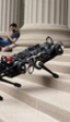 El MIT presenta un robot que no necesita la vista para moverse con libertad