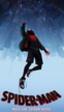 No cabe un solo Spiderman más en el nuevo tráiler de 'Spiderman: Un nuevo universo'