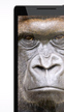 Corning presenta un nuevo Gorilla Glass con capacidades antimicrobiales