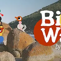 Big Walk