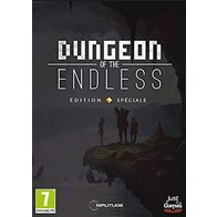 Dungeon Of Endless [Importación Francesa]