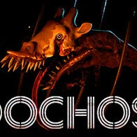 Zoochosis